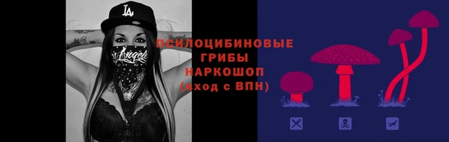 СК Абаза