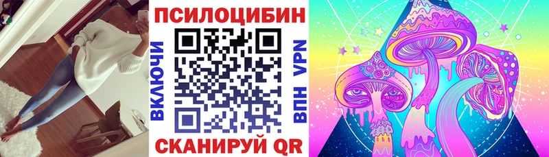 наркошоп  Смоленск  hydra ONION  Псилоцибиновые грибы Psilocybe 